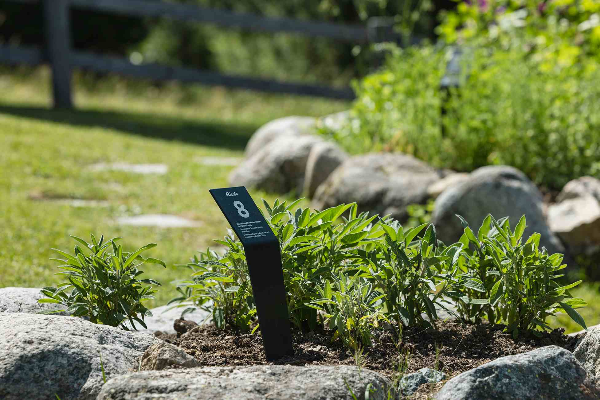 Herb Garden Pontresina